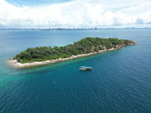 scuba diving at koh krok in pattaya